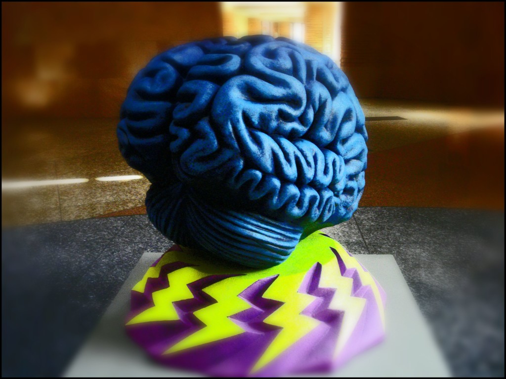 Teach Yourself A Language How To Boost Your Brain Power
